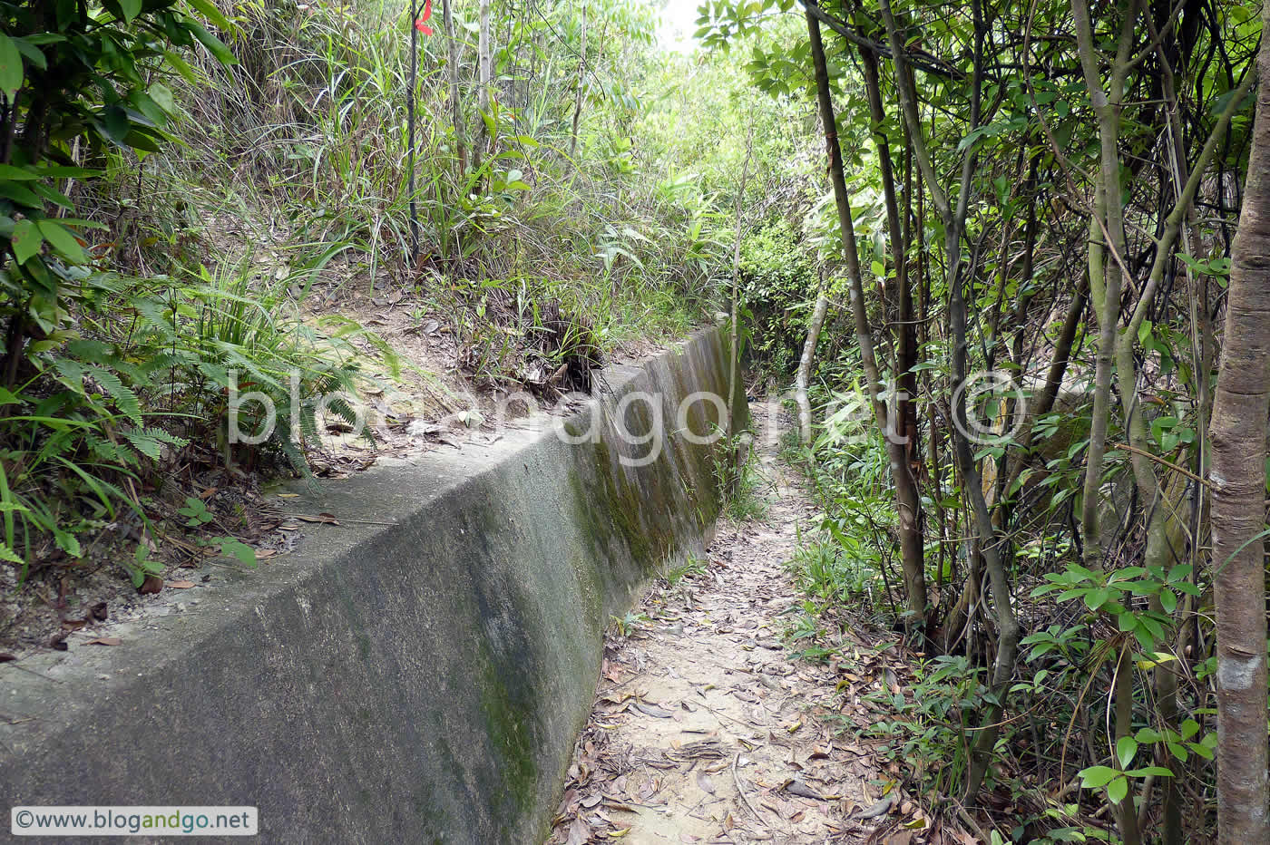 Shing Mun Redoubt - Oxford Street Trench